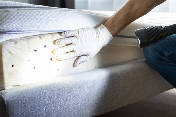 Best Pest Removal Services  in Winfield, AL