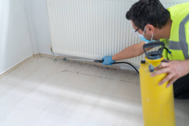 Best Residential Pest Control  in Winfield, AL