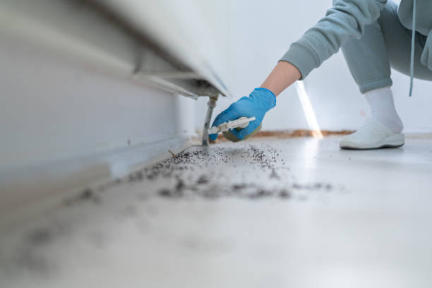 Best Emergency Pest Control  in Winfield, AL