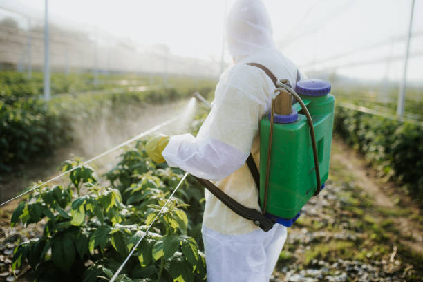  Winfield, AL Pest Control Pros